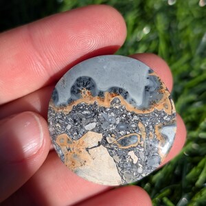 Puede incluir: Una piedra pulida y redonda con un patr&oacute;n &uacute;nico. La secci&oacute;n superior es de color gris claro con inclusiones oscuras en forma de &aacute;rbol. El centro presenta una banda de color beige y marr&oacute;n, mientras que la parte inferior es una mezcla de gris, beige y blanco, con un aspecto agrietado.