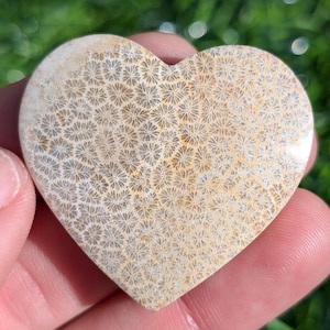 Fossil Coral Heart Cabochon, Fossilized Coral Heart Shaped Crystal. From Indonesia. FCH 1.6