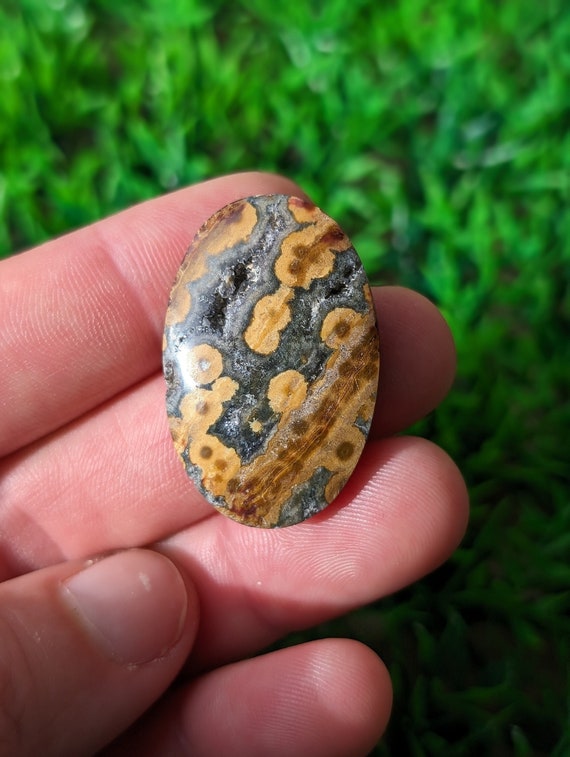 Orbicular Jasper - Shape Orbicular Jasper - Shape