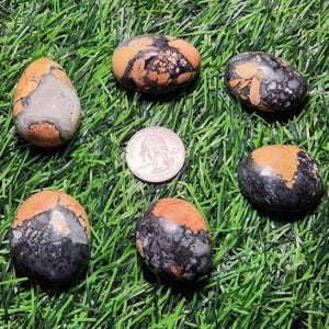 Puede incluir: Seis piedras pulidas con una mezcla de colores, incluyendo naranja, negro y gris, dispuestas sobre césped artificial verde. Una moneda de veinticinco centavos estadounidense se utiliza para comparar el tamaño. Las piedras tienen forma ovalada.