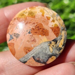Puede incluir: Un cabujón de piedra pulida de forma circular con un patrón complejo de tonos naranja cálido, bronceado y crema, intercalados con inclusiones de color gris oscuro y negro. La superficie es lisa y reflectante, mostrando una textura mineral natural.