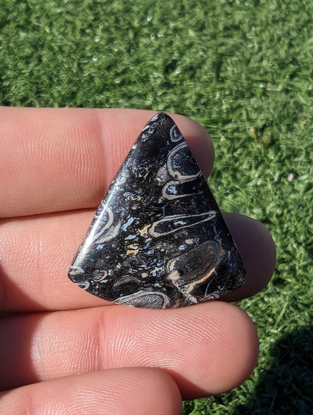 Palm Root Cabochon Petrified Wood Cabochon Petrified Palm Etsy