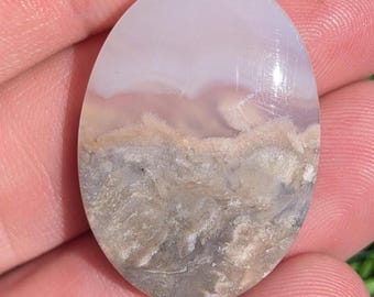 Agatized Petrified Wood OvalShape Cabochon, Petrified Wood cabochon for jewelry making.  APW 8.2