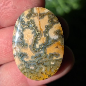 Könnte beinhalten: Ein ovaler Edelstein mit polierter Oberfläche. Der Stein weist ein komplexes Muster aus beigen, gelben und graugrünen Wirbeln und Adern auf. Der Edelstein wird zwischen Fingern gehalten.
