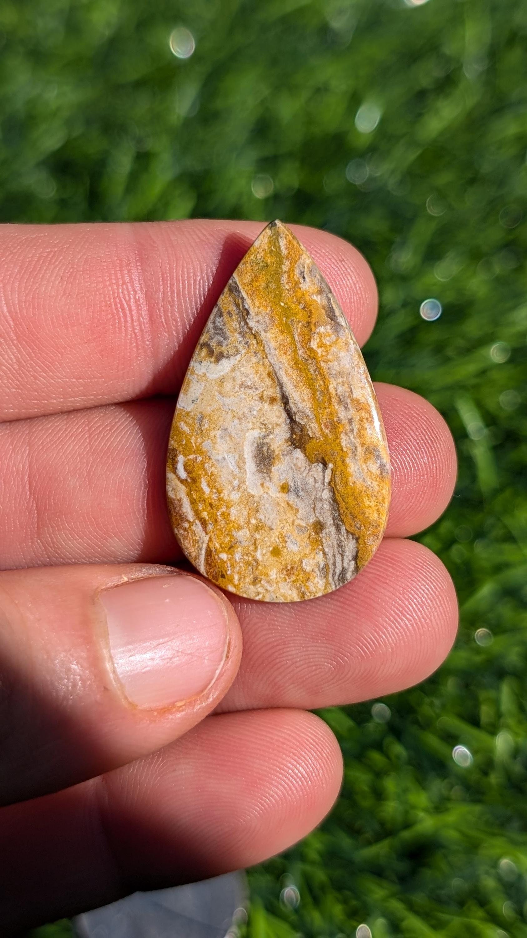 Yellow Petrified Wood Cabochon,  Indonesian Petrified Wood cabochon for jewelry making.  APW 6.4