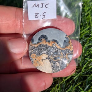 Puede incluir: Una piedra redonda y pulida con un patr&oacute;n &uacute;nico de colores grises, negros y beige. La piedra se sostiene en una bolsa de pl&aacute;stico transparente con una peque&ntilde;a etiqueta blanca que dice "MJC 8.5". La piedra se muestra sobre un fondo de hierba verde.
