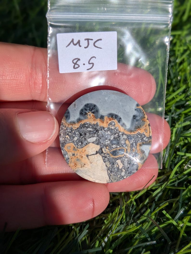 Puede incluir: Una piedra redonda y pulida con un patr&oacute;n &uacute;nico de colores grises, negros y beige. La piedra se sostiene en una bolsa de pl&aacute;stico transparente con una peque&ntilde;a etiqueta blanca que dice "MJC 8.5". La piedra se muestra sobre un fondo de hierba verde.