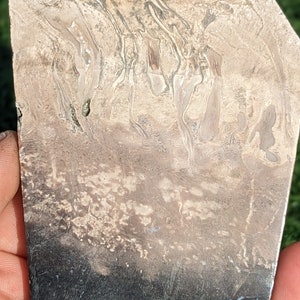 Palm Root Small Slab 2.5&quot; x 3&quot;,  Petrified Wood Slab, mostly the white part, Petrified Palm Root Slab for cabbing for display.  PRSlab2