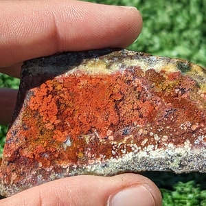 Red Moss Agate Slab. Indonesia Red Moss Agate Slab MRS 2.1
