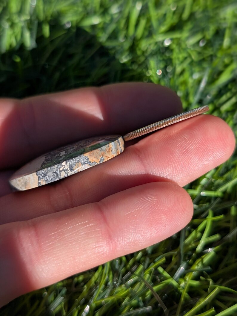 Puede incluir: Una piedra pulida de forma ovalada con una mezcla de colores grises, verdes y beige. Una moneda de plata est&aacute; al lado de la piedra. Los objetos se sostienen en una mano, con un fondo verde borroso.