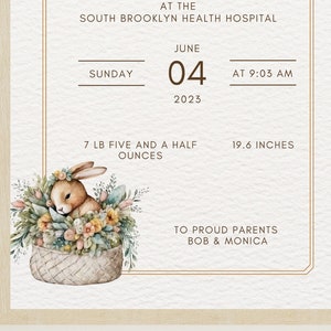 Birth Stats Sign, New Baby Girl Gift, Birth Stats Print, Baby Birth Stat Printable, Birth Information card, Birth Details Sign