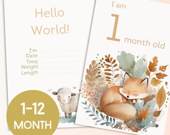 Tarjetas imprimibles para hitos del bebé / Accesorios para fotos mensuales / Regalo para el primer año del bebé / Descarga instantánea