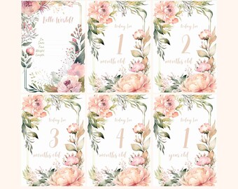 14 Tarjetas de signos y hitos de estadísticas de niñas / Tarjetas imprimibles de hitos mensuales / Regalo único de baby shower para recién nacidos