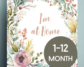 14 tarjetas de hitos para recién nacidos con corona, Hitos mensuales, Letrero y anuncios con el nombre del bebé, Regalo para nuevas mamás