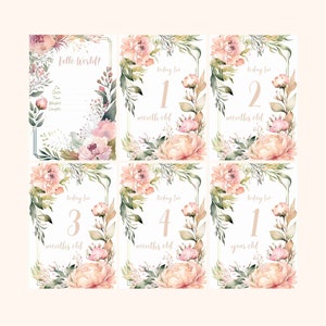 14 panneaux de statistiques et jalons bébé fille | imprimables Jalons mensuels | Cadeau unique de baby shower pour les nouveau-nés
