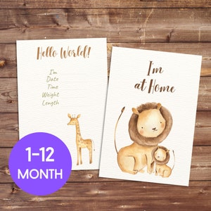 14 cartes anniversaire bébé imprimables | Noms de naissance et prénoms bébé | Jalons mensuels et annonces | Cadeau unique pour baby shower
