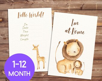 14 Tarjetas imprimibles de hitos para bebés / Signos de nacimiento y nombre de bebé / Hitos y anuncios mensuales / Regalo único de baby shower