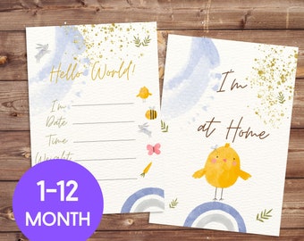 Tarjetas de hitos para bebés / Hitos mensuales imprimibles / Regalo único para bebés / Signos de estadísticas del nombre del bebé / Anuncios de nacimiento y hospitalización