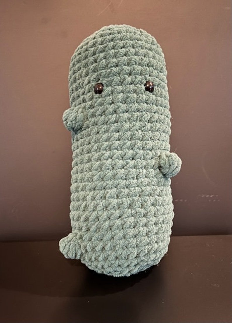 Jumbo Crochet Pickle Pal Etsy