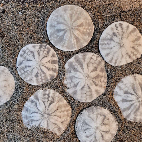 Various sized Sand Dollars created out of resin for durability.  Each order has 10 Sand Dollars.  Beautiful gift, sea creatures, crafts