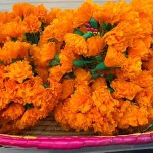 May include: A close-up of a woven basket filled with bright orange marigold flowers. The flowers have many layers of petals and green stems. The basket has a pink and purple rim.