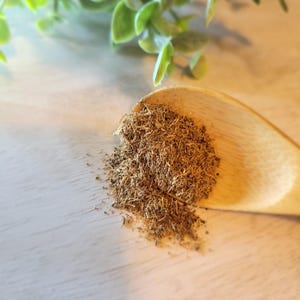 Kudzu Seeds - Etsy