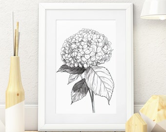 Hydrangea Sketch Art Print, zwart-witte bloemenlijntekeningen (digitale download)