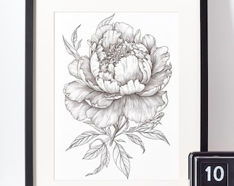 Schetsprint pioenroos, zwart-witte bloemenlijntekeningen (digitale download)