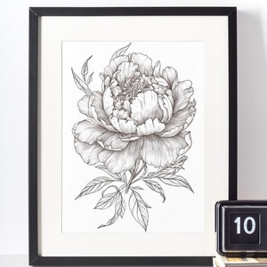Boceto imprimible de peonía, arte de pared de flores, cartel floral, arte de línea floral, boceto floral en blanco y negro, flor de noviembre, flor del mes de nacimiento