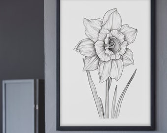 Daffodil Line Art Print, Black and White Flower Sketch (Digital Download)