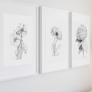 Geranium Anemone Hydrangea Print, Floral Black and White Sketch, Floral Print Set, Floral Poster Set, Floral Sketch Art Print Download