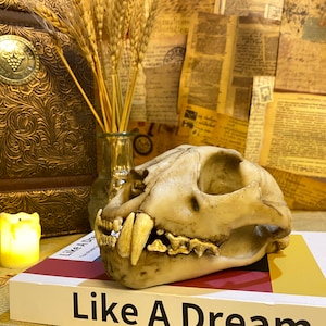 Snow Leopard Skull Fossil Ornament,Cheetah Statue,Gothic Decor,Skull Decoration,Housewarming Gift,Animal Skull Figurine,Father&#39;s Day Gift