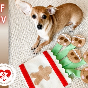 Könnte beinhalten: Ein brauner und weißer Hund liegt auf einem weißen Teppich mit einem Lebkuchenmann-Spielzeug. Das Spielzeug hat fünf Lebkuchenmänner, die mit grünen Filzstreifen daran befestigt sind. Das Spielzeug ist mit "Hound Hugger Dog Lovin' Crafts - Recipes - DIYs" beschriftet.