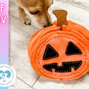 Könnte beinhalten: Ein Filz-Kürbis-Hundespielzeug in Orange mit einem schwarzen Filzgesicht. Der Kürbis hat einen angenähten braunen Filzstiel. Ein Hund beschnuppert das Spielzeug.