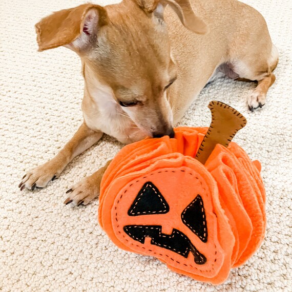 Snuffle Dog Toy Pumpkin Latte, Digital Download PDF Pattern, DIY Craft,  Treat Dispenser, Canine Enrichment, Keep Dogs Busy Toy, Hide Treats 