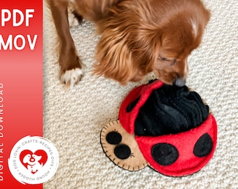 Coccinelle en peluche pour chien, modèle PDF à téléchargement numérique, travaux manuels, distributeur de friandises, enrichissement canin, jouet pour occuper le chien, cacher des friandises