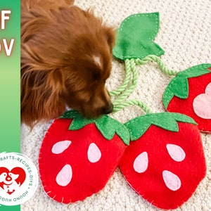 Könnte beinhalten: Ein brauner und weißer Hund beschnuppert ein rotes Filz-Erdbeer-Spielzeug mit grünen Filzblättern. Das Spielzeug ist Teil einer Kette aus drei Filz-Erdbeeren, eine davon mit einem rosa Filzherz.