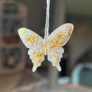 Butterfly freshie