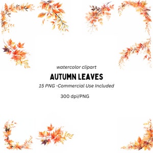 15 clipart autunnali | Foglie autunnali acquerello | Clipart autunno | Creazione di carte | Creatività con la carta digitale | Fiori | PNG, uso commerciale