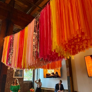 Colorful Ceiling Fringes, Ceiling Streamers, Bachelorette/Graduation/Sorority Function Decoration