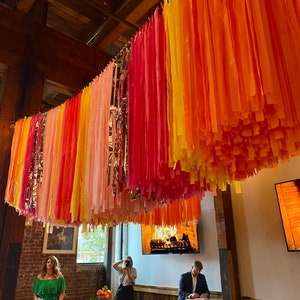 Colorful Ceiling Fringes, Ceiling Streamers, Bachelorette/Graduation/Sorority Function Decoration