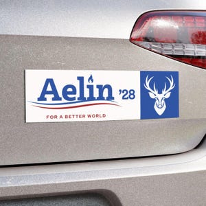 ToG Aelin for President Car Magnet: bookish gift fireheart bumper sticker campaign romantasy merch rowan dorian throne glass fans fantasy