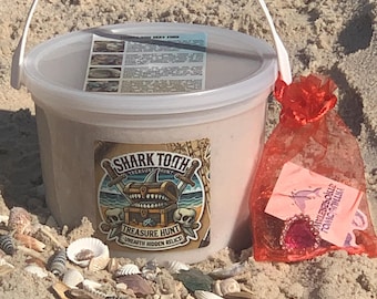 Shark Tooth Dig Kit/Treasure Hunt Bucket (Guaranteed FUN!)