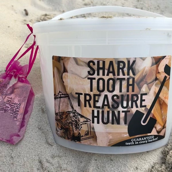 Shark Tooth Dig Kit/Treasure Hunt Bucket (Guaranteed FUN!)