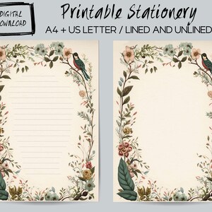 DESCARGA INSTANTE Paquete de papel estacionario, hojas digitales imprimibles, estilo vintage A4 y carta de EE. UU., forrado y sin forro, página de libro de chatarra del planificador