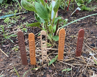 Garden Markers, 3D Printed Plant Name Stakes