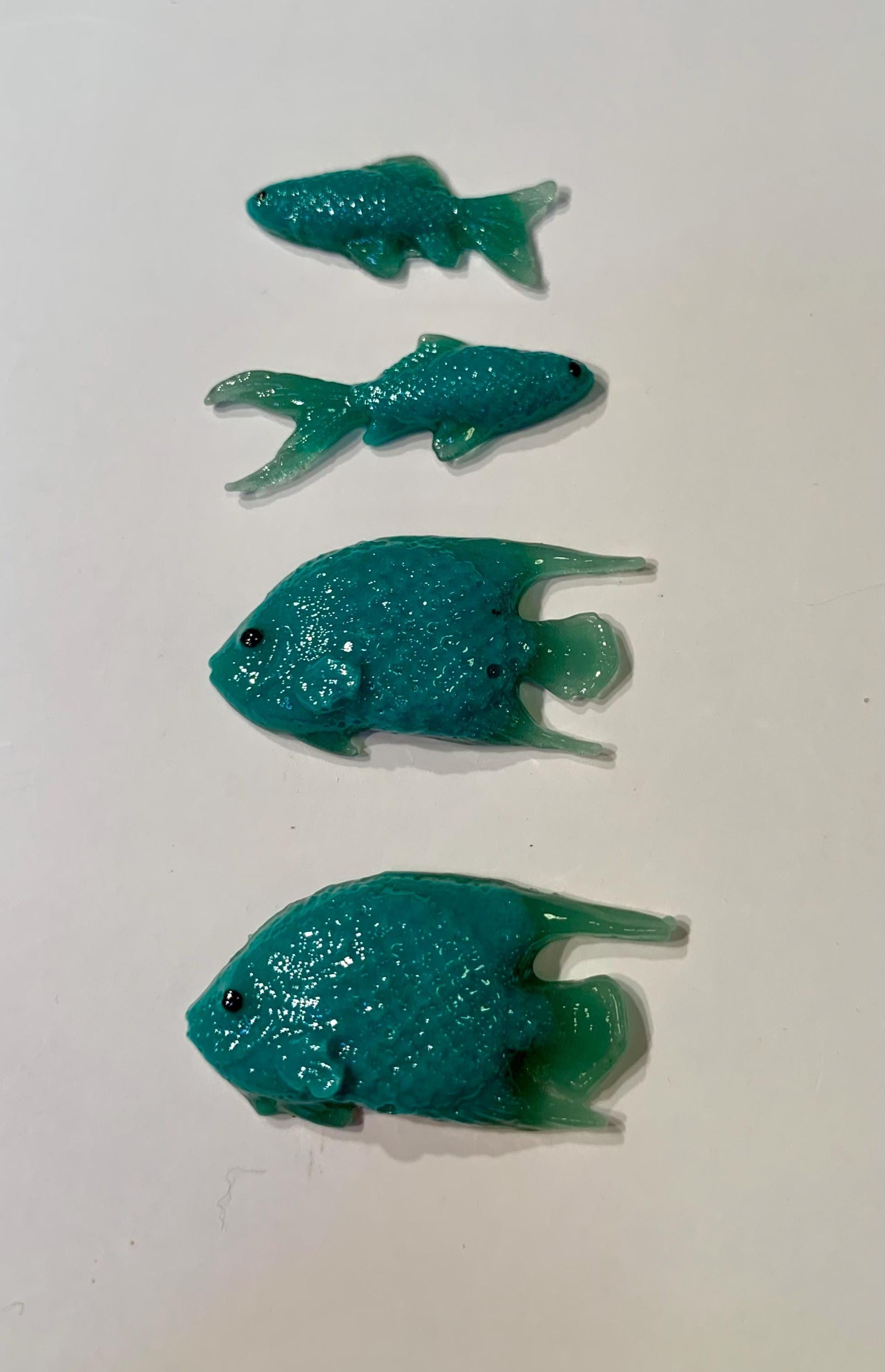 Fish Art - Etsy