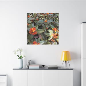 Caribbean Tropical Flower Canvas Print: Exotic Botanical Wall Art