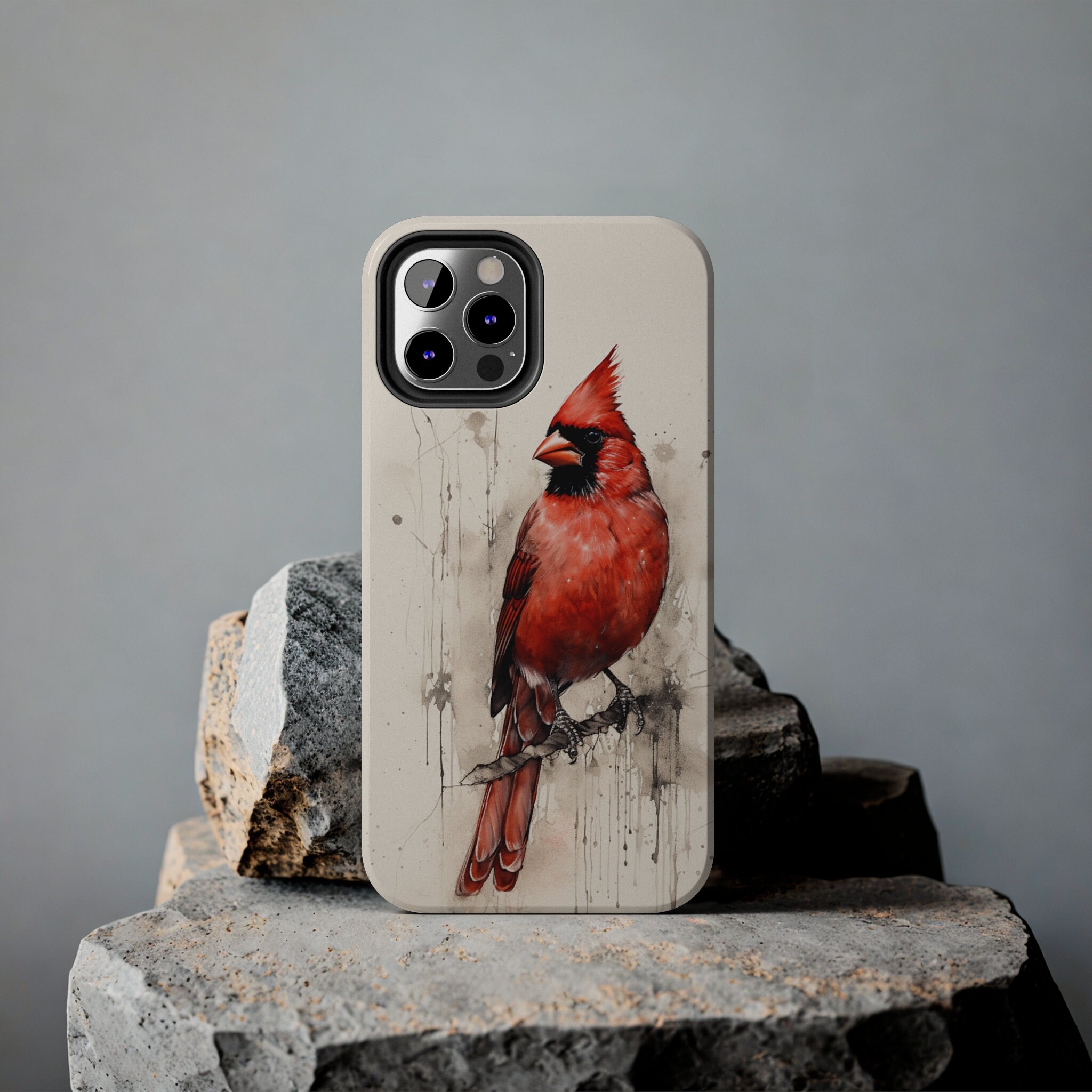 Wet Ink Drawing, Profile View, Cardinal, Red Ink, White Background Bird ...