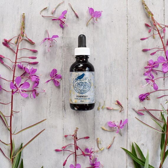 Fireweed Tincture: Fresh Wild-Harvested Herb, Organic Cane Alcohol